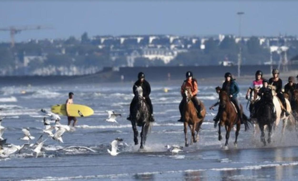 Les Echappees Belles De L'Ocean Appartement Le Pointeau Buitenkant foto